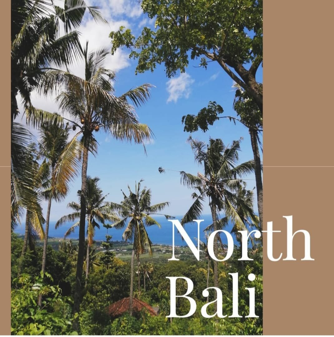 Cocotiers et vue sur la mer depuis les hauteurs du nord de Bali
