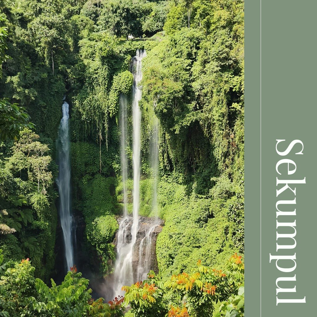 Les cascades de Sekumpul dans la forêt tropicale du nord de Bali